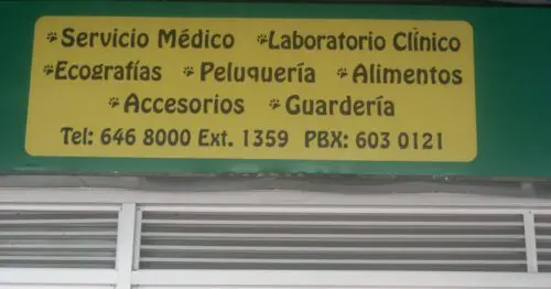 CLINICA VETERINARIA SAWAR EXITO FLORESTA CLINICA VETERINARIA SAWAR EXITO FLORESTA